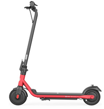 Load image into Gallery viewer, Ninebot Segway ZING C15E KickScooter - E-Scooter UAE Hub