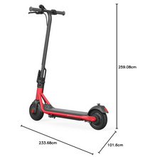Load image into Gallery viewer, Ninebot Segway ZING C15E KickScooter - E-Scooter UAE Hub