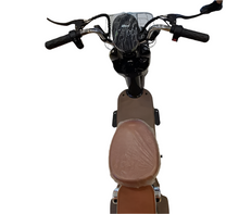 Load image into Gallery viewer, Meiyi Electric Bicycle 48V 12Ah 350W