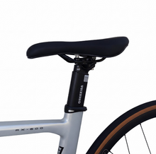 Load image into Gallery viewer, RT600 Road Bike With Carbon Steel Frame