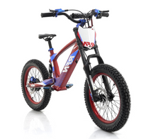 Load image into Gallery viewer, RFN EVO Racing – Electric Motorcycle for Kids Age 7-16