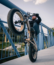 Load image into Gallery viewer, HIMO ZB20 Folding Electric Mountain Bike