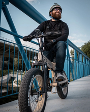 Load image into Gallery viewer, HIMO ZB20 Folding Electric Mountain Bike