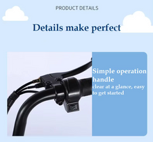 Load image into Gallery viewer, Aster Vespa Style Electric Bike 48V 12Ah 800W