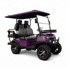 Load image into Gallery viewer, Electric Golf Cart Buggy Car Street Legal Cart 04 Seater