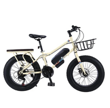 Load image into Gallery viewer, Desert riding Electric Bike with 22inch Fat Tyre - E-Scooter UAE Hub