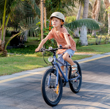 Load image into Gallery viewer, The Adam Mountain Bike 20” Handbrake Age 6+