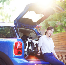 Load image into Gallery viewer, Xiaomi Mi Smart Electric Folding Bike – XMDZLZXC01QJ