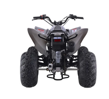 Load image into Gallery viewer, Raizer 250 Race Cup – The Perfect Starter Sport ATV Age 14+ Teens