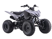 Load image into Gallery viewer, Raizer 250 Race Cup – The Perfect Starter Sport ATV Age 14+ Teens