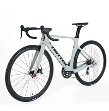 Load image into Gallery viewer, Road Bike R10-Disk 22s Alloy Wheels