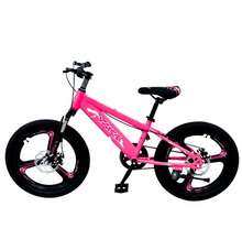 Load image into Gallery viewer, 20-Inch Kids Bike TDA-20 | Pink | Disc Brakes | Ages 7–11 Years