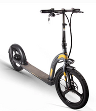 Load image into Gallery viewer, RICH BIT H100 Pro Adult Electric Scooter 36V 350W High Range LG Cell - E-Scooter UAE Hub