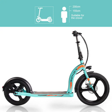 Load image into Gallery viewer, RICH BIT H100 Pro Adult Electric Scooter 36V 350W High Range LG Cell - E-Scooter UAE Hub