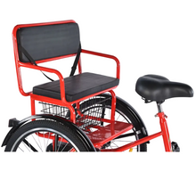 Load image into Gallery viewer, Tricycle with rear passenger carrier 20"