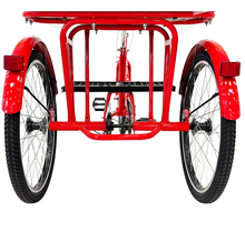 Load image into Gallery viewer, Tricycle with rear passenger carrier 20"