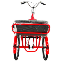 Load image into Gallery viewer, Tricycle with rear passenger carrier 20"