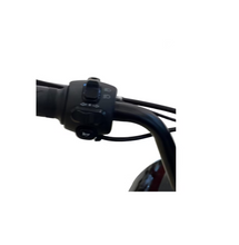 Load image into Gallery viewer, Vespa Style Fashion Electric Bike -RW-GW02