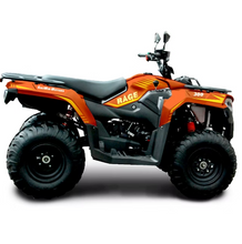 Load image into Gallery viewer, 2024 RAGE 300 ATV 271CC Quad Bike For Off Road Fun