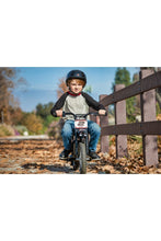 Load image into Gallery viewer, Razor D.Rocket Mx125 Electric Dirt Bike Age 7+ - E-Scooter UAE Hub