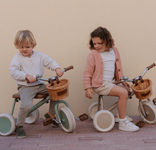 Load image into Gallery viewer, The Tiny Tricycle Age 1.5 Years and up