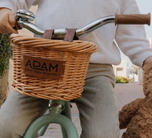 Load image into Gallery viewer, The Tiny Tricycle Age 1.5 Years and up