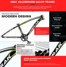 Load image into Gallery viewer, PRO X12 Electric Bike fat tire 48V 17Ah LG battery