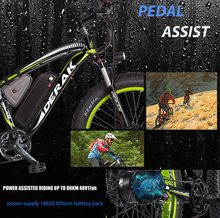 Load image into Gallery viewer, PRO X12 Electric Bike fat tire 48V 17Ah LG battery