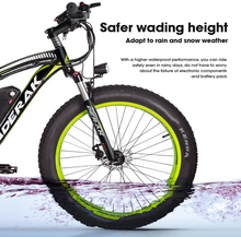 Load image into Gallery viewer, PRO X12 Electric Bike fat tire 48V 17Ah LG battery