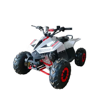 Load image into Gallery viewer, Mini ATV 125CC – The Perfect Off-Road Learning ATV for Kids