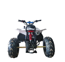 Load image into Gallery viewer, Mini ATV 125CC – The Perfect Off-Road Learning ATV for Kids