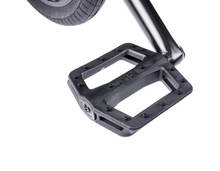 Load image into Gallery viewer, WethePeople Trust RSD CS 20 inch BMX Bike