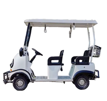 Load image into Gallery viewer, Electric Buggy Park-kids area Panda Fox Squirrel Snail Tiger Themed 3-4 seater