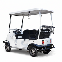 Load image into Gallery viewer, Electric Buggy Park-kids area Panda Fox Squirrel Snail Tiger Themed 3-4 seater