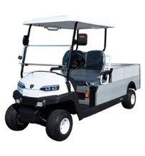 Load image into Gallery viewer, Eco Luxury Golf Cart with 02 seat Long Cargo