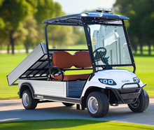 Load image into Gallery viewer, LVT Electric Utility Golf Cart – 2-Seater with Long Cargo Box