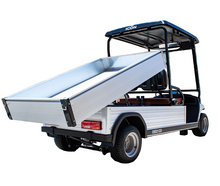 Load image into Gallery viewer, LVT Electric Utility Golf Cart – 2-Seater with Long Cargo Box