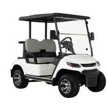 Load image into Gallery viewer, Electric Golf Cart Buggy LT – 2 Seater (4000W | 100km Range)