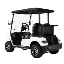 Load image into Gallery viewer, Electric Golf Cart Buggy LT – 2 Seater (4000W | 100km Range)