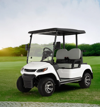 Load image into Gallery viewer, Electric Golf Cart Buggy LT – 2 Seater (4000W | 100km Range)