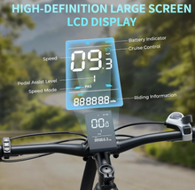 Load image into Gallery viewer, Windhorse F3 Electric Stylish City E Bike 48V15Ah 450W