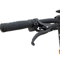 Load image into Gallery viewer, Sparkee ECO 10 Dual Suspension Electric Scooter 48V 18.2Ah 1000W Dual motor