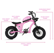 Load image into Gallery viewer, FLIGHT RISK RETRO NEW FR606 ELECTRIC BIKE 48V 20Ah Samsung 500W With NFC