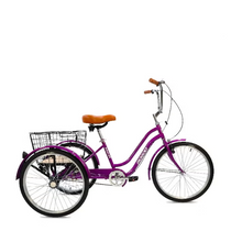 Load image into Gallery viewer, Mogoo Hauler Adult Tricycle – 24 Inch Utility Cargo Trike