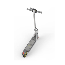 Load image into Gallery viewer, Ninebot Zing C8 eKickscooter
