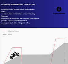 Load image into Gallery viewer, Ninebot Segway Xyber Electric Bike (single Battery version)