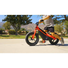 Load image into Gallery viewer, Razor Dash Balance E Bike Kids Early Learning Fun rider 3+ Years - E-Scooter UAE Hub