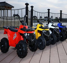 Load image into Gallery viewer, Electric Mini Quad Bike For Young Off Roaders 6V Age 3+