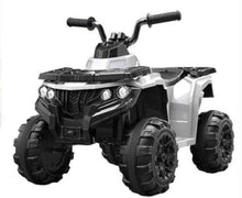 Load image into Gallery viewer, Electric Mini Quad Bike For Young Off Roaders 6V Age 3+