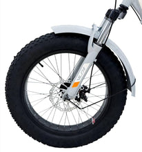 Load image into Gallery viewer, Fat Tire City Tricycle